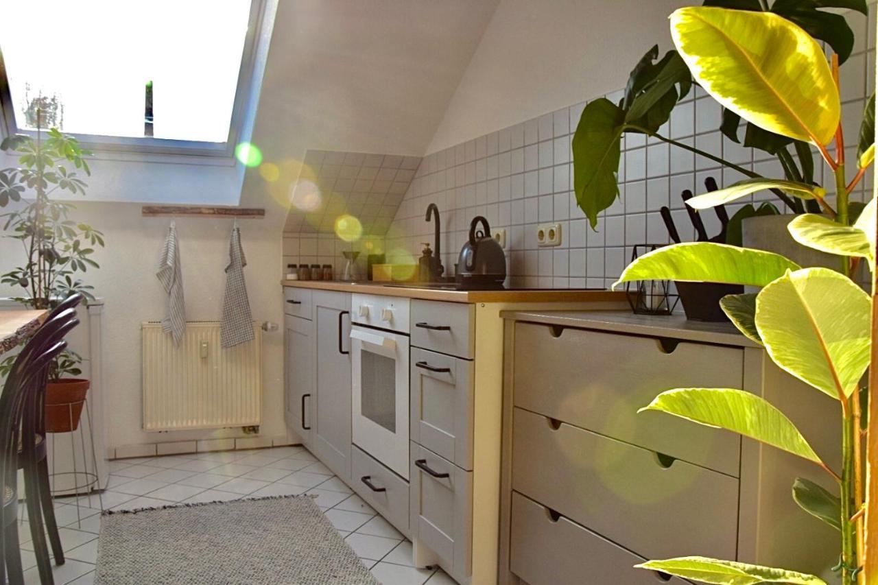 Greenbnbs: Cozy Urban Jungle In The City Centre Essen Exterior photo