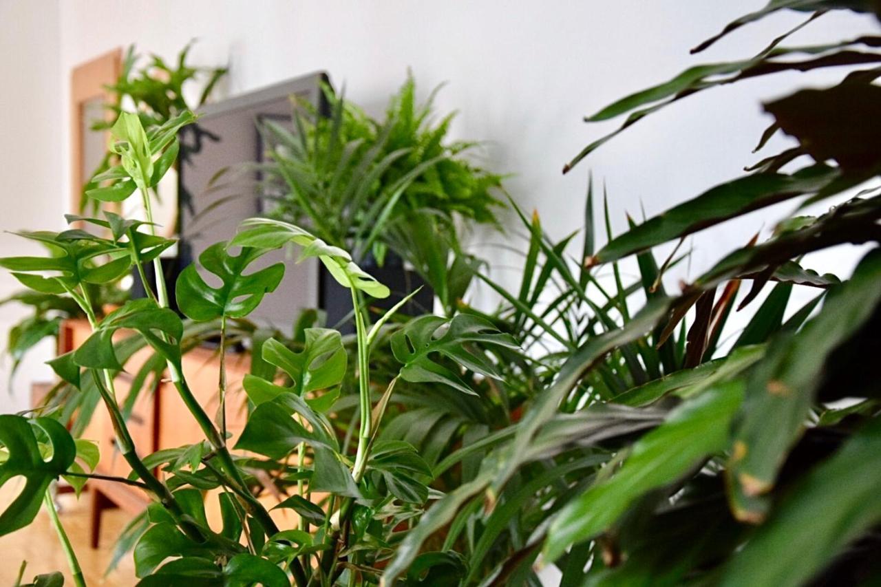 Greenbnbs: Cozy Urban Jungle In The City Centre Essen Exterior photo